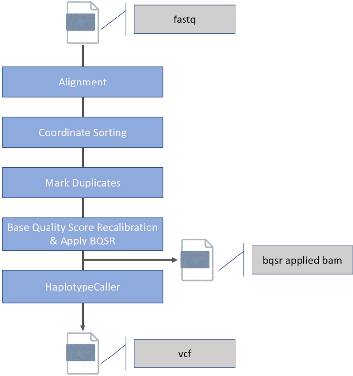 Genome Analysis Workflow